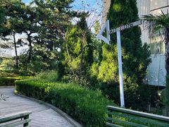 -莫内艺术岛海景咖啡