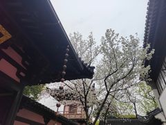 -寒山寺