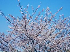 -新江湾城公园