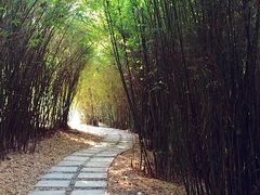 -苏州河梦清园环保主题公园