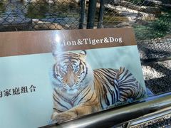 -北京野生动物园