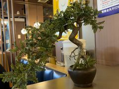 -伍棵星炭烤自助料理·烤鳗鱼(浦东食品城店)