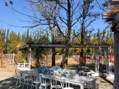 -安德鲁户外烧烤帐篷营地(马泉营店)