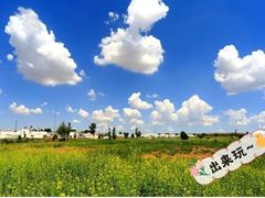 -苏泊罕大草原旅游景区