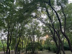 -黑龙江省森林植物园