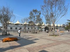 -大连海昌发现王国主题公园