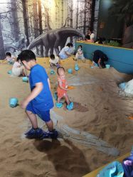 -恐龙探索乐园(磁器口店)