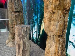 -延庆地质公园博物馆