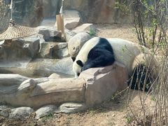 -青藏高原野生动物园