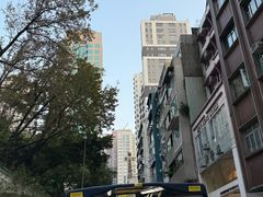 -Big Bus Tours 敞篷观光巴士