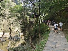 -少华山国家森林公园