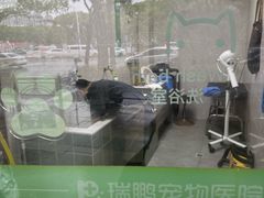 -瑞鹏宠物医院·骨外科·心肾科·肿瘤科(九亭店)