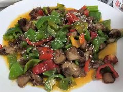 -煲来饱去冷水鱼