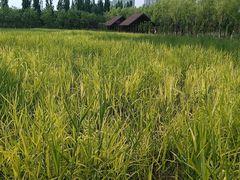 -永定河休闲森林公园