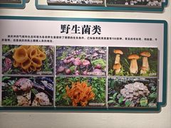 -迪庆藏族自治州博物馆