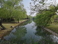 -东方绿舟景区