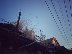 -宋师傅安徽板面(留学路店)