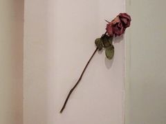 -麦麦点心铺(正荣·时代广场店)