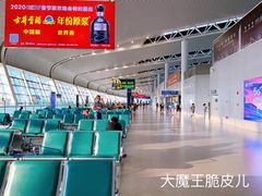 -合肥新桥国际机场-航站楼
