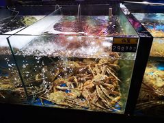 -蟹之国·精品蟹料理(极地店)