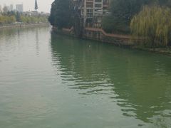 -成都市活水公园