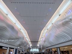 -盐湖城国际机场