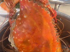 -半岛听涛蒸汽海鲜自助(K11店)