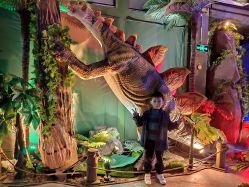 -恐龙探索乐园(磁器口店)