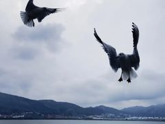 -滇池海埂公园