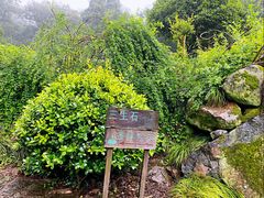 -杭州西湖风景名胜区-三生石