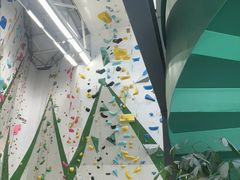 -绿壁虎攀岩基地(Tcar店)