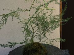 -奈雪茶院·茶室茶馆(广州粤海天地店)