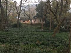 -法云安缦酒店