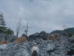 -千岛湖石林
