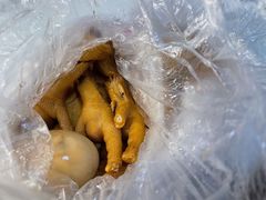 鸡爪-笃笃笃糖粥(十全街店)
