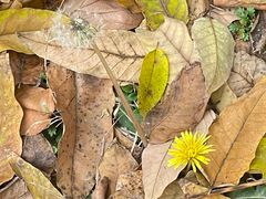 -兴芮温泉度假区