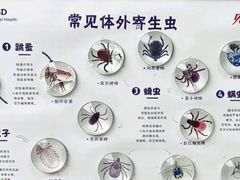 -瑞派康怡24h宠物医院·犬猫医疗中心·微创绝育(瑞景分院)