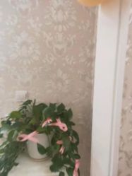 -Cocodemer女性健康·产后恢复(天一广场店)