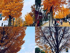-日本风情街