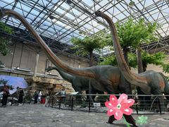 -国家自然博物馆