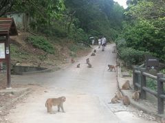 -狮子山郊野公园