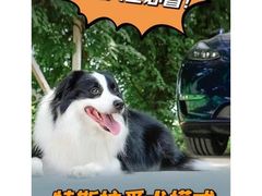 -TESLA 特斯拉(上海太古汇体验店)