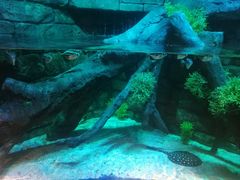 -沈阳海洋探索中心