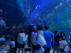 -西安华夏文旅水世界