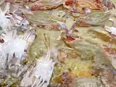 -永辉线上超市(鲁谷店)