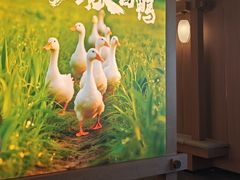 -张烤鸭·川菜·非遗冒烤鸭(青石桥店)