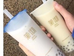（大杯）桂花乌龙奶茶-茉沏(光启城店)