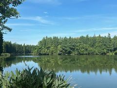 -艾溪湖湿地公园