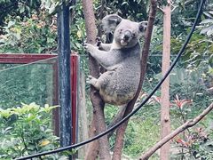 -广州长隆欢乐世界