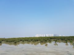 -北海金海湾红树林生态旅游区